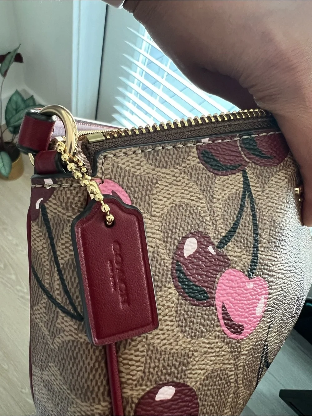COACH Nolita 19 In Signature Canvas With Cherry Print Pre Owned